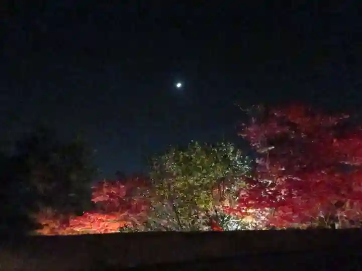 高台寺(高台寿聖禅寺・高臺寺)の庭園