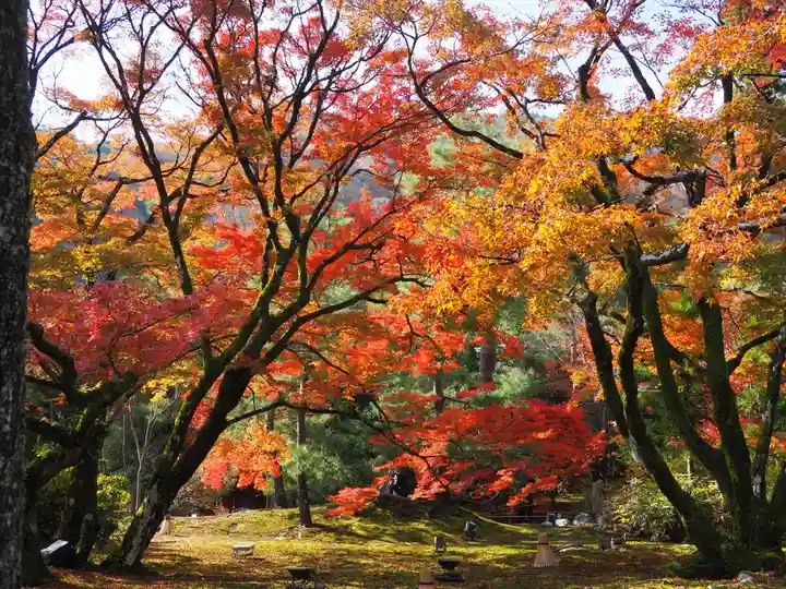 宝厳院(京都府)