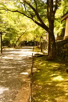 二尊院(京都府)