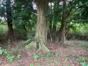 石神大明神(千葉県)