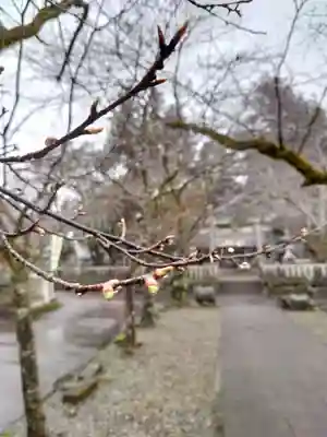 天鷹神社のその他建物