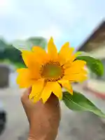 美幌神社(北海道)