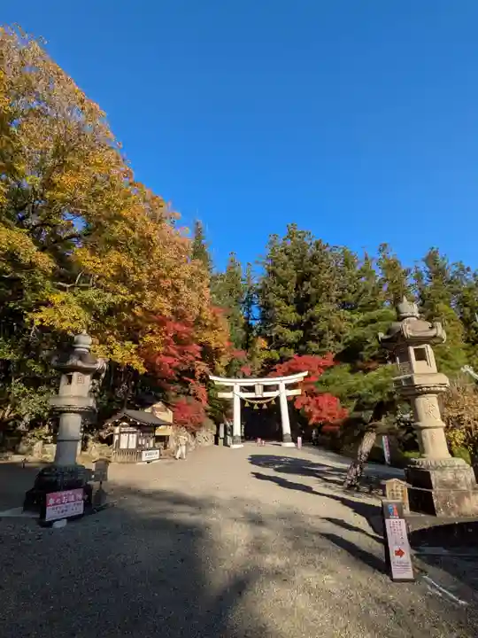 宝登山神社(埼玉県)