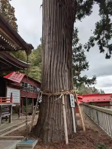 鼬幣稲荷神社(岩手県)