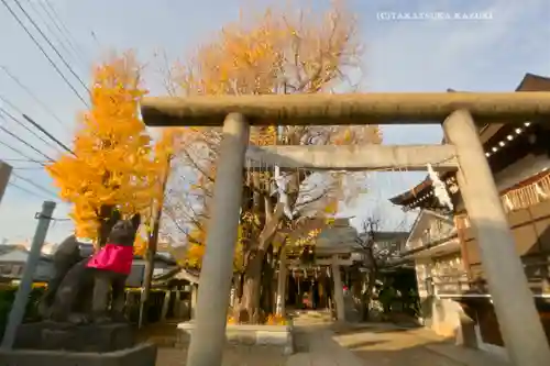 飛木稲荷神社(東京都)