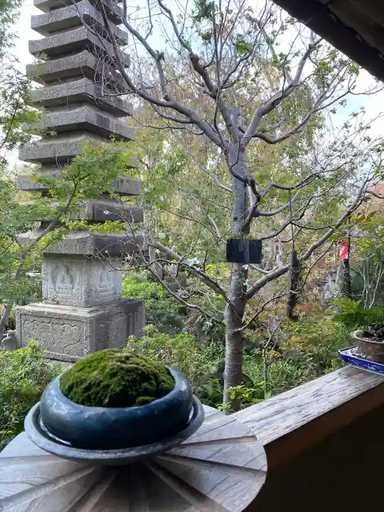 常泉寺(神奈川県)