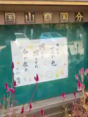 国分寺の建物その他