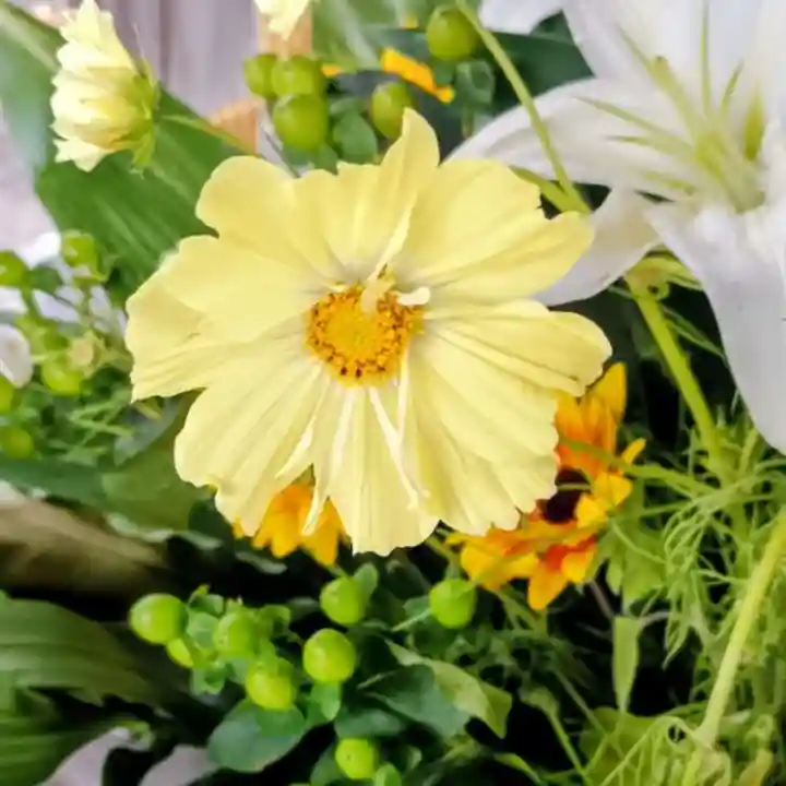 彌彦神社 (伊夜日子神社)(北海道)