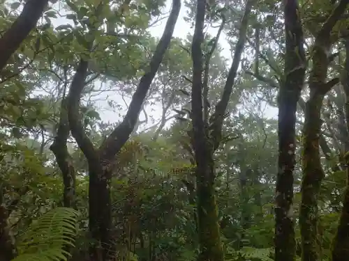 浅間神社(東京都)