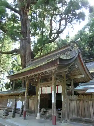 若狭姫神社（若狭彦神社下社）の本殿・本堂