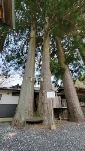 玉桂寺の{uncategorized: "未分類", other: "その他", undefined: "問題あり", building: "その他建物", grave: "お墓", sacred_gate: "鳥居", guardian: "狛犬", statue: "像", buddha: "仏像", history: "歴史", nature: "自然", garden: "庭園", animal: "動物", pagoda: "塔", temizu: "手水舎", mountain_gate: "山門・神門", sanctuary: "本殿・本堂", subordinate: "末社・摂社", art: "芸術", scenery: "景色", jizo: "地蔵", ema: "絵馬", goshuin: "御朱印", omikuji: "おみくじ", items: "授与品その他", amulet: "お守り", goshuincho: "御朱印帳", eats: "食事", festival: "お祭り", votive_dance: "神楽", shichigosan: "七五三参", wedding: "結婚式", experience: "体験その他", initially: "初詣", around: "周辺", anti_infection: "感染症対策"}