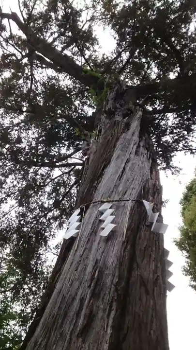 居木神社(東京都)