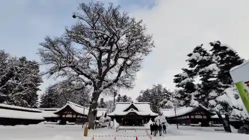 北海道護國神社のその他建物