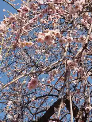 宗仲寺(神奈川県)
