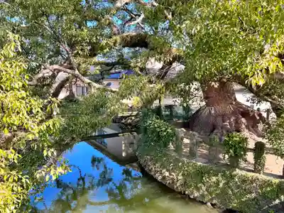 北野天満宮(福岡県)