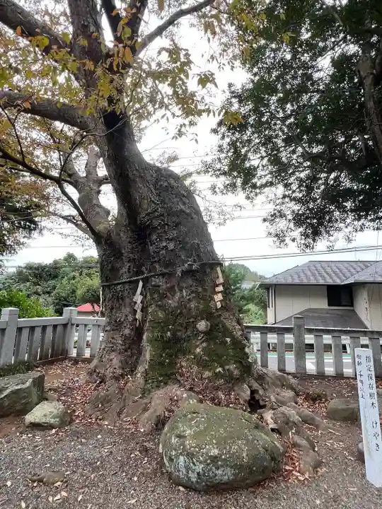 比比多神社(子易明神)(神奈川県)
