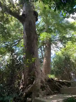 日枝神社(千葉県)