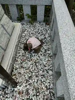 簸川神社(東京都)