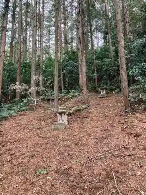 金枝温泉神社の{uncategorized: "未分類", other: "その他", undefined: "問題あり", building: "その他建物", grave: "お墓", sacred_gate: "鳥居", guardian: "狛犬", statue: "像", buddha: "仏像", history: "歴史", nature: "自然", garden: "庭園", animal: "動物", pagoda: "塔", temizu: "手水舎", mountain_gate: "山門・神門", sanctuary: "本殿・本堂", subordinate: "末社・摂社", art: "芸術", scenery: "景色", jizo: "地蔵", ema: "絵馬", goshuin: "御朱印", omikuji: "おみくじ", items: "授与品その他", amulet: "お守り", goshuincho: "御朱印帳", eats: "食事", festival: "お祭り", votive_dance: "神楽", shichigosan: "七五三参", wedding: "結婚式", experience: "体験その他", initially: "初詣", around: "周辺", anti_infection: "感染症対策"}