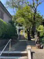 熊野神社(杉田・中原)の{uncategorized: "未分類", other: "その他", undefined: "問題あり", building: "その他建物", grave: "お墓", sacred_gate: "鳥居", guardian: "狛犬", statue: "像", buddha: "仏像", history: "歴史", nature: "自然", garden: "庭園", animal: "動物", pagoda: "塔", temizu: "手水舎", mountain_gate: "山門・神門", sanctuary: "本殿・本堂", subordinate: "末社・摂社", art: "芸術", scenery: "景色", jizo: "地蔵", ema: "絵馬", goshuin: "御朱印", omikuji: "おみくじ", items: "授与品その他", amulet: "お守り", goshuincho: "御朱印帳", eats: "食事", festival: "お祭り", votive_dance: "神楽", shichigosan: "七五三参", wedding: "結婚式", experience: "体験その他", initially: "初詣", around: "周辺", anti_infection: "感染症対策"}
