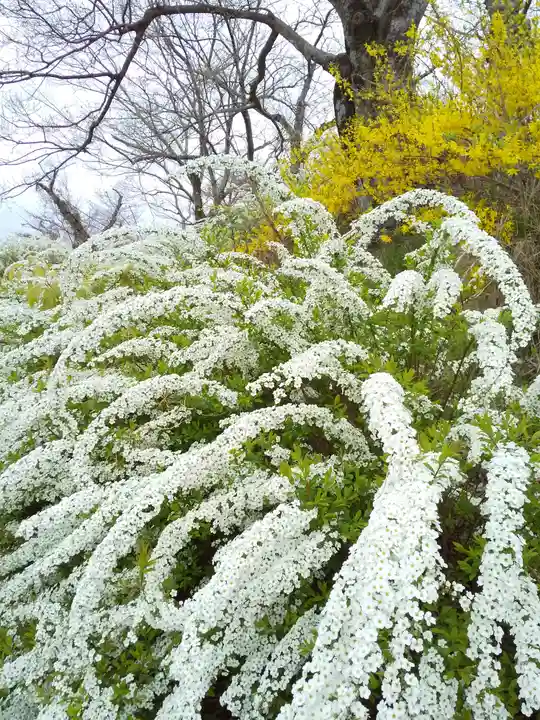 星田妙見宮(大阪府)