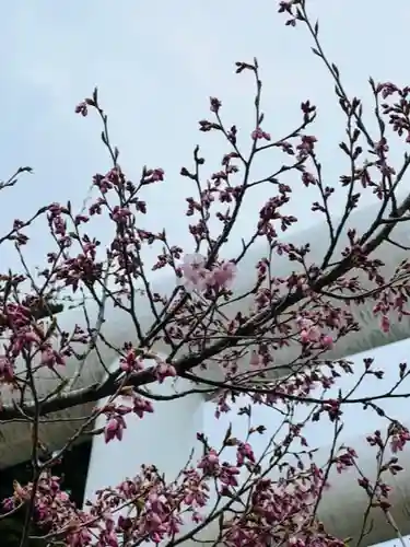 土津神社｜こどもと出世の神さまの自然