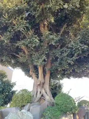 赤城神社(千葉県)
