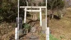 菊田神社の鳥居