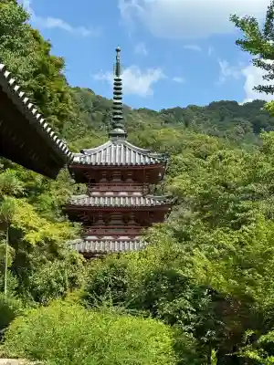 三室戸寺(京都府)