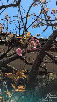 本昌寺(京都府)