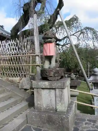 氷室神社の狛犬