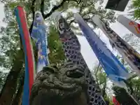 大山祇神社の狛犬