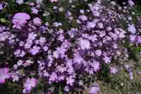 豊景神社の庭園