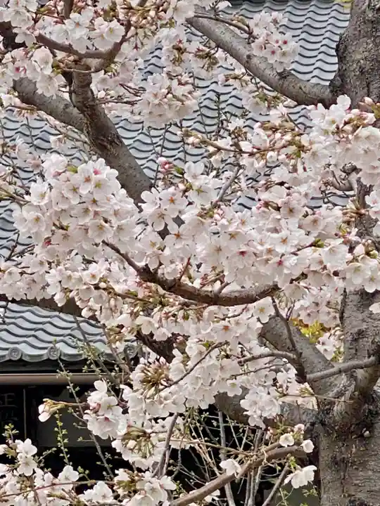 實相寺(実相寺) (京都府)