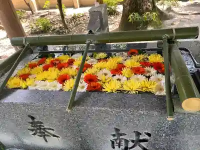 現人神社の{uncategorized: "未分類", other: "その他", undefined: "問題あり", building: "その他建物", grave: "お墓", sacred_gate: "鳥居", guardian: "狛犬", statue: "像", buddha: "仏像", history: "歴史", nature: "自然", garden: "庭園", animal: "動物", pagoda: "塔", temizu: "手水舎", mountain_gate: "山門・神門", sanctuary: "本殿・本堂", subordinate: "末社・摂社", art: "芸術", scenery: "景色", jizo: "地蔵", ema: "絵馬", goshuin: "御朱印", omikuji: "おみくじ", items: "授与品その他", amulet: "お守り", goshuincho: "御朱印帳", eats: "食事", festival: "お祭り", votive_dance: "神楽", shichigosan: "七五三参", wedding: "結婚式", experience: "体験その他", initially: "初詣", around: "周辺", anti_infection: "感染症対策"}