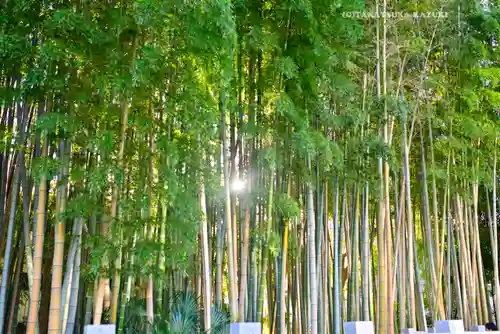不知森神社(千葉県)