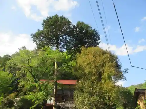 熊野神社(埼玉県)