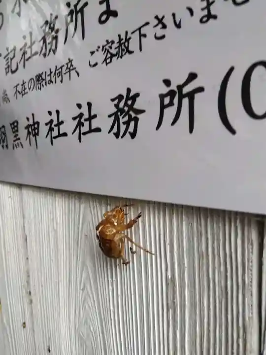 羽黒神社(石川県)