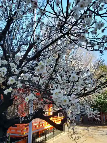花園神社のその他建物
