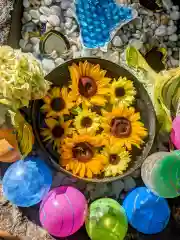 琴似神社(北海道)