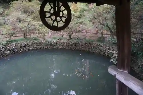 唐澤山神社の庭園