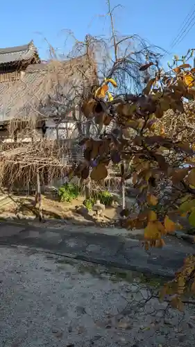 妙蓮寺(京都府)