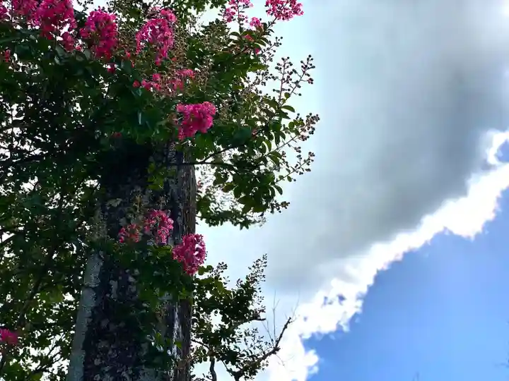 座光如来寺(元善光寺)の自然