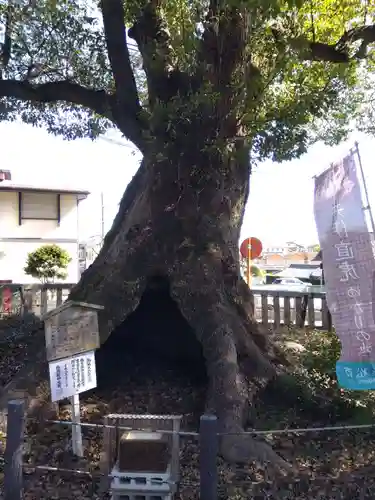 細江神社(静岡県)