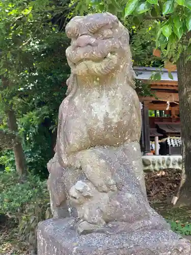 東中野熊野神社の狛犬