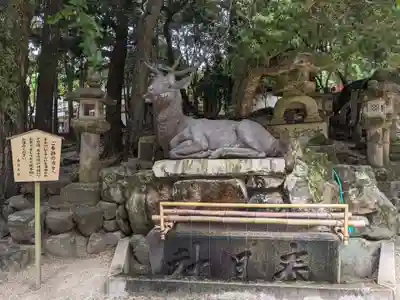 春日大社の手水舎