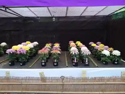 宗像大社(福岡県)