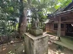 白郷稲荷神社の狛犬