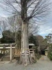 八雲神社(緑町)(栃木県)