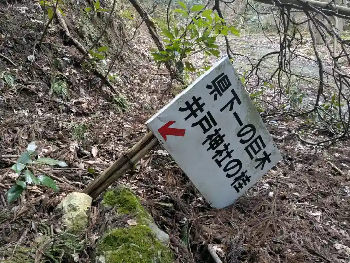 井戸神社の{uncategorized: "未分類", other: "その他", undefined: "問題あり", building: "その他建物", grave: "お墓", sacred_gate: "鳥居", guardian: "狛犬", statue: "像", buddha: "仏像", history: "歴史", nature: "自然", garden: "庭園", animal: "動物", pagoda: "塔", temizu: "手水舎", mountain_gate: "山門・神門", sanctuary: "本殿・本堂", subordinate: "末社・摂社", art: "芸術", scenery: "景色", jizo: "地蔵", ema: "絵馬", goshuin: "御朱印", omikuji: "おみくじ", items: "授与品その他", amulet: "お守り", goshuincho: "御朱印帳", eats: "食事", festival: "お祭り", votive_dance: "神楽", shichigosan: "七五三参", wedding: "結婚式", experience: "体験その他", initially: "初詣", around: "周辺", anti_infection: "感染症対策"}